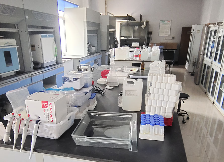 衛(wèi)輝實驗室搬遷